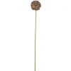 Bloomingville Allium Stiel, Braun, Künstliche Blume