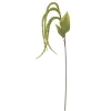 Bloomingville Foxtail Stiel, Grün, Künstliche Blume