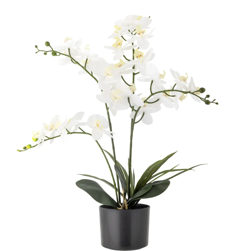 Bloomingville Künstliche Orchidee, Kunstblume