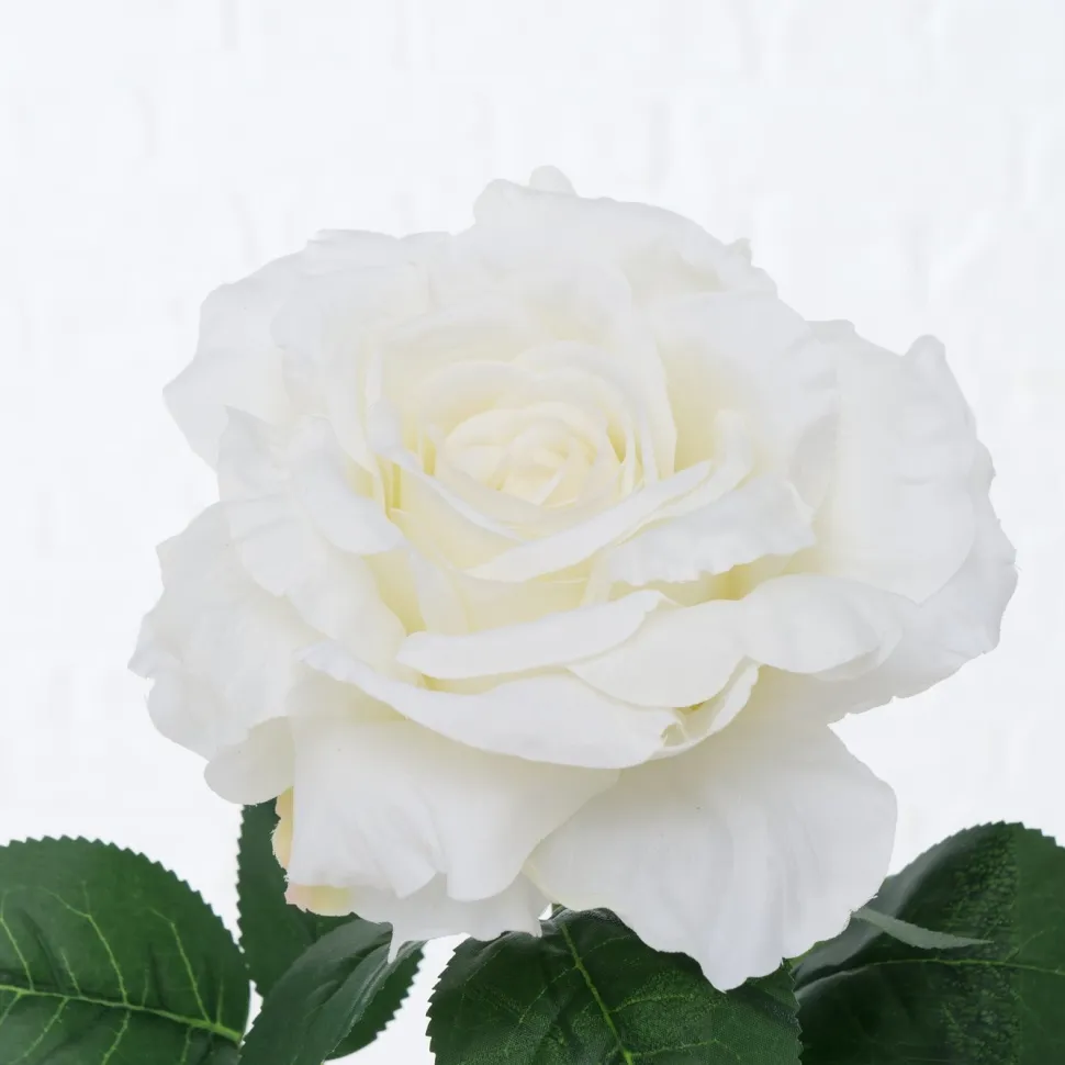Boltze Stielkunstblume Rose
