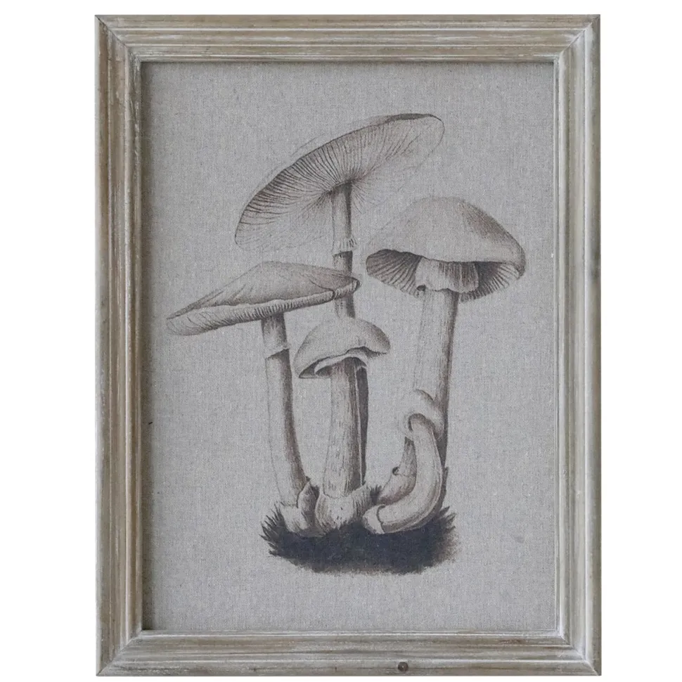 Chic Antique Bild mit Pilzmotiv und Naturrahmen