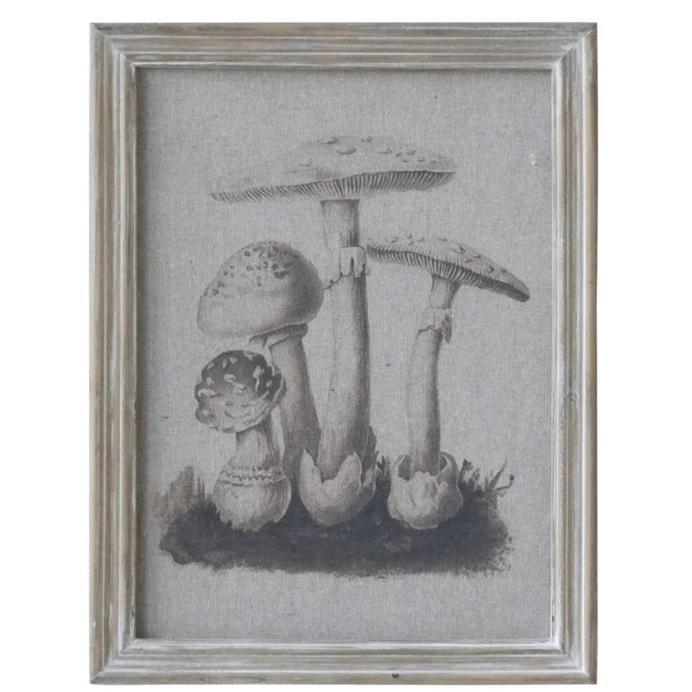 Chic Antique Bild mit Pilzmotiv und Naturrahmen
