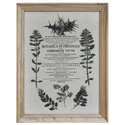 Chic Antique Bild mit wilden Blumen und Naturrahmen