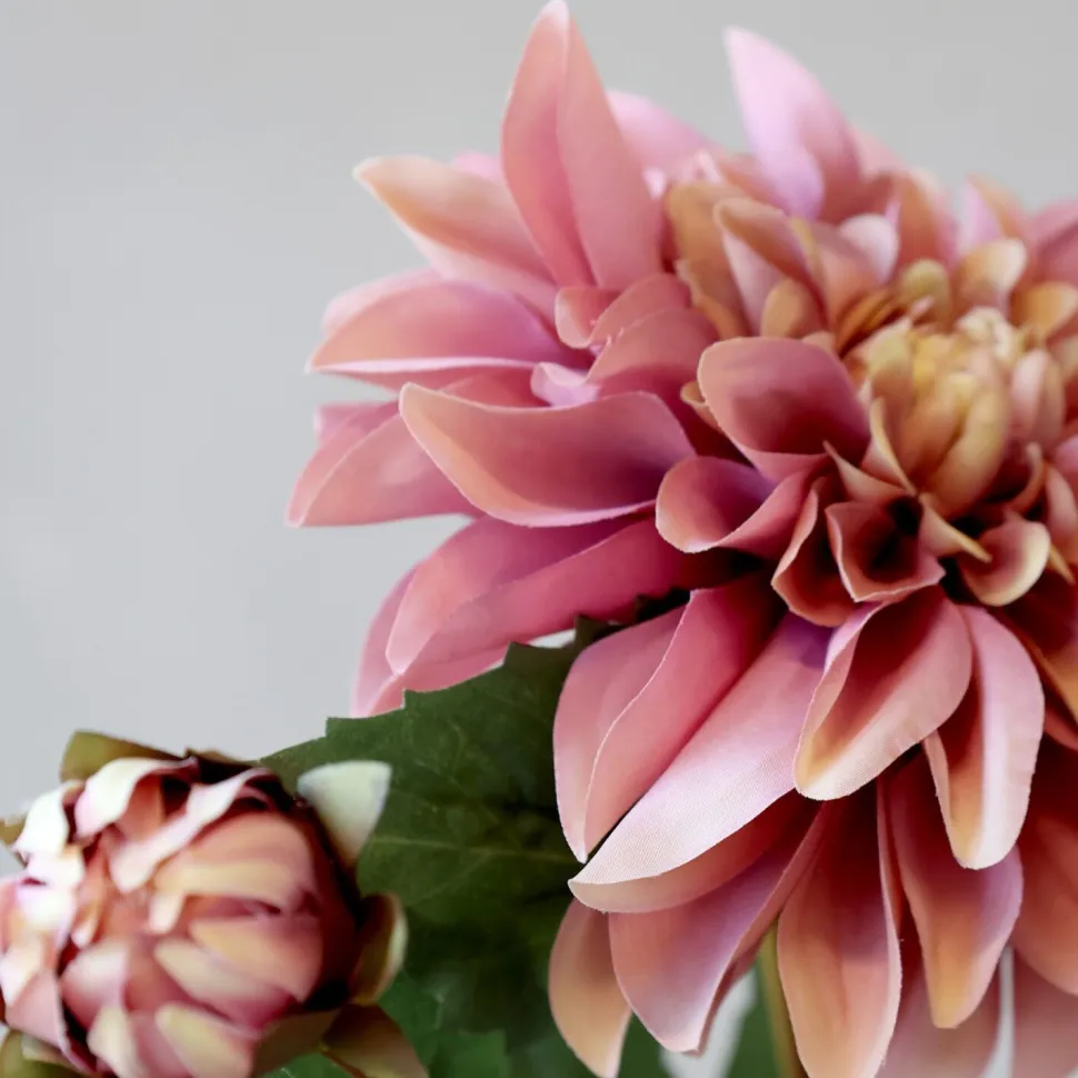Chic Antique Fleur Dahlie