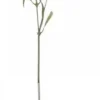 Chic Antique Fleur Distel 2