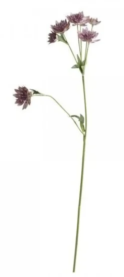 Chic Antique Fleur Distel 4