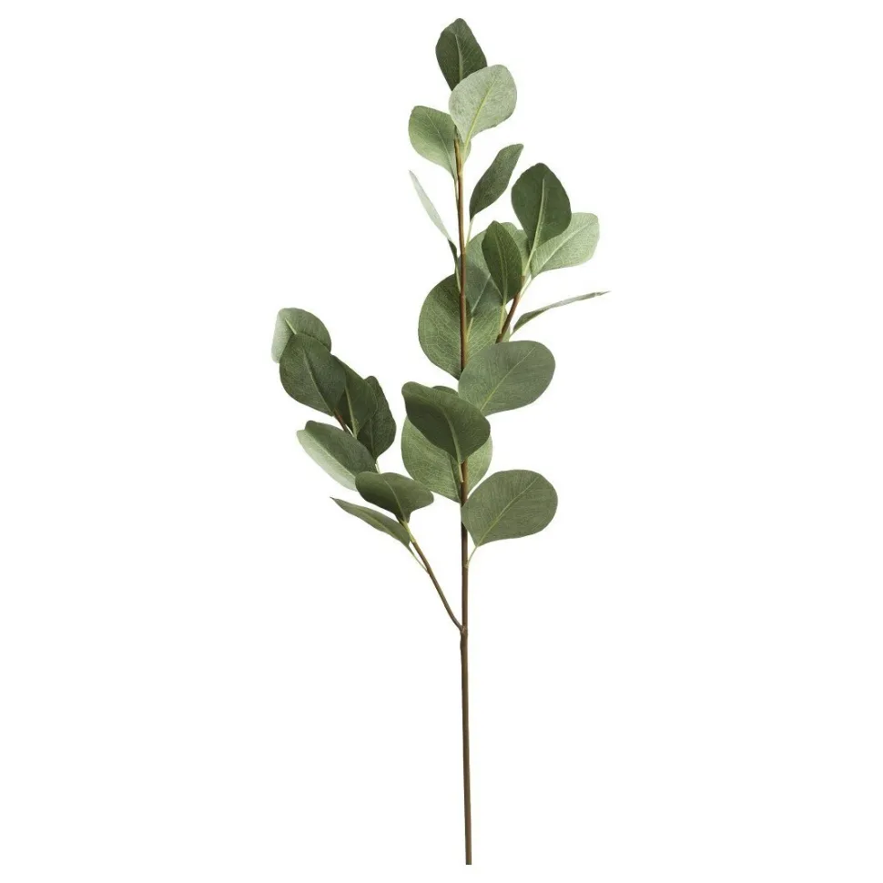 Chic Antique Fleur Eukalyptus Ast
