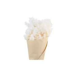 Chic Antique Fleur getrocknete Schleierspargel
