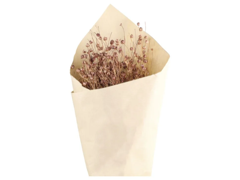 Chic Antique Fleur getrocknetes Flachs