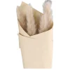 Chic Antique Fleur getrocknetes Pampasgras