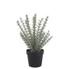 Chic Antique Fleur künstlicher Rosmarin Topf