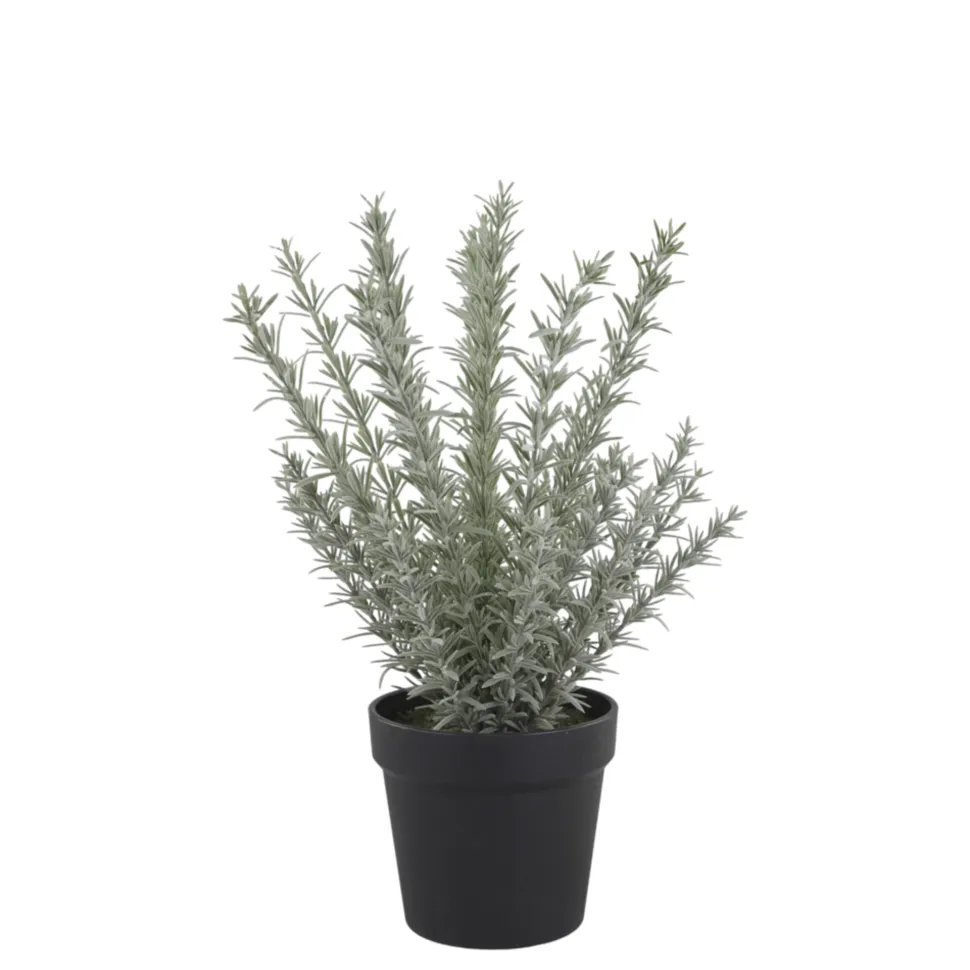 Chic Antique Fleur künstlicher Rosmarin Topf
