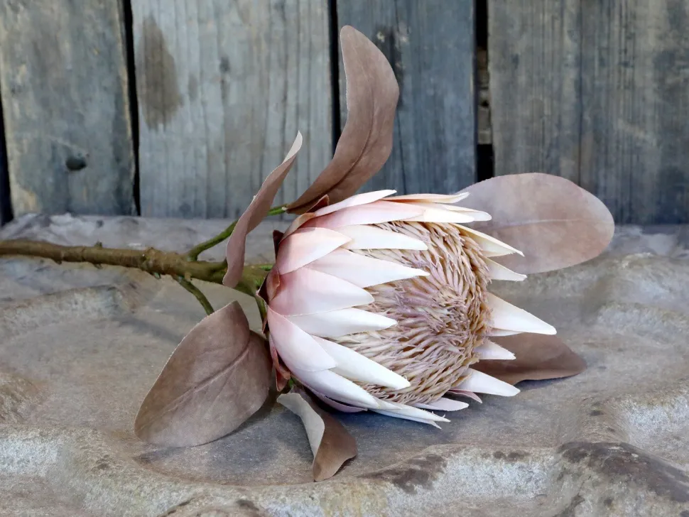 Chic Antique Fleur Kunstblume Protea