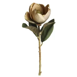 Chic Antique Fleur Magnolia