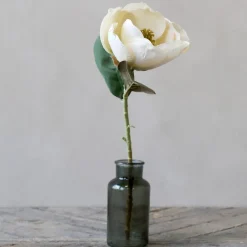 Chic Antique Fleur Magnolia