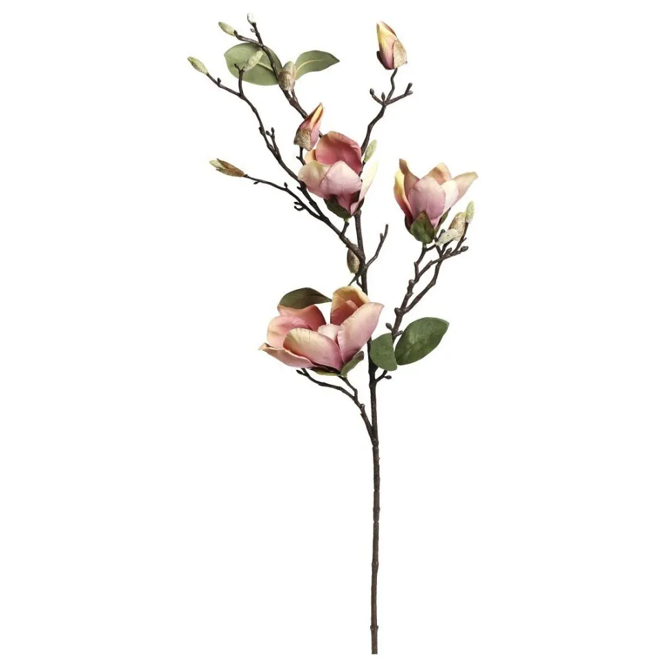 Chic Antique Fleur Multi Magnolia