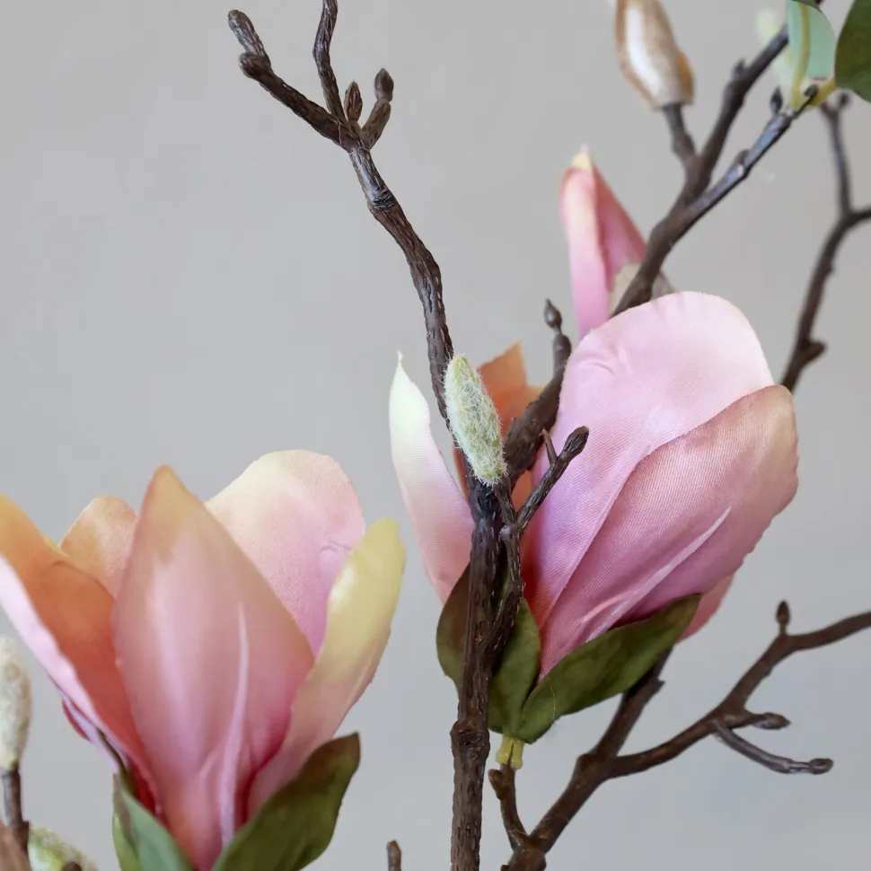 Chic Antique Fleur Multi Magnolia