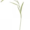 Chic Antique Fleur Stroh