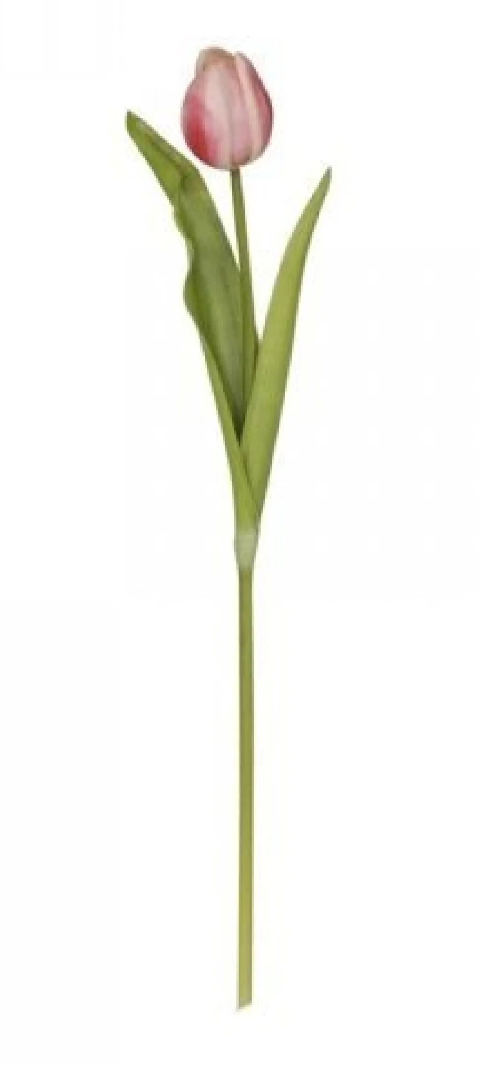 Chic Antique Fleur Tulpe, Kunstblume