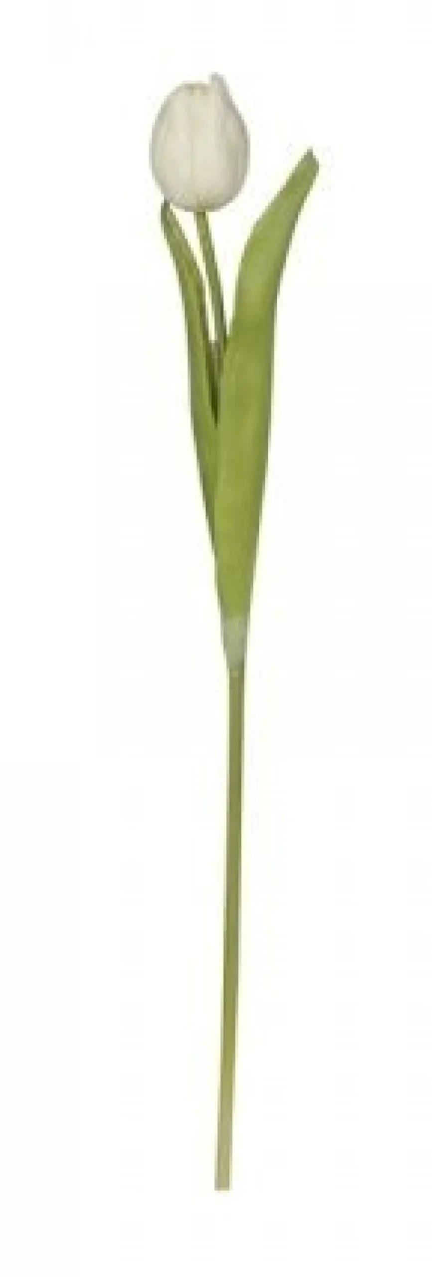 Chic Antique Fleur Tulpe, Kunstblume