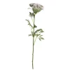 Chic Antique Fleur Wilde Möhre