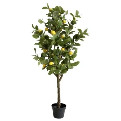 Chic Antique Fleur Zitronenbaum