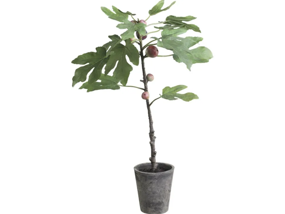 Chic Antique Künstlicher Feigenbaum mit altem Übertopf