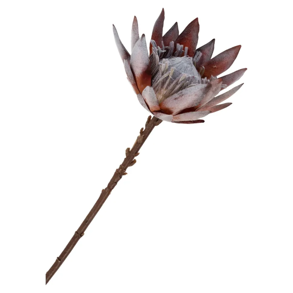 House Nordic King Protea Bouquet, Künstlilcher Blumenstrauß