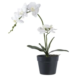 House Nordic Künstliche Orchidee im Topf