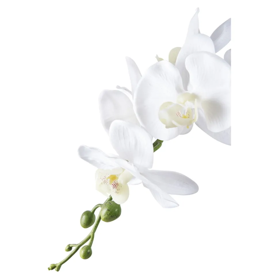 House Nordic Künstliche Orchidee im Topf