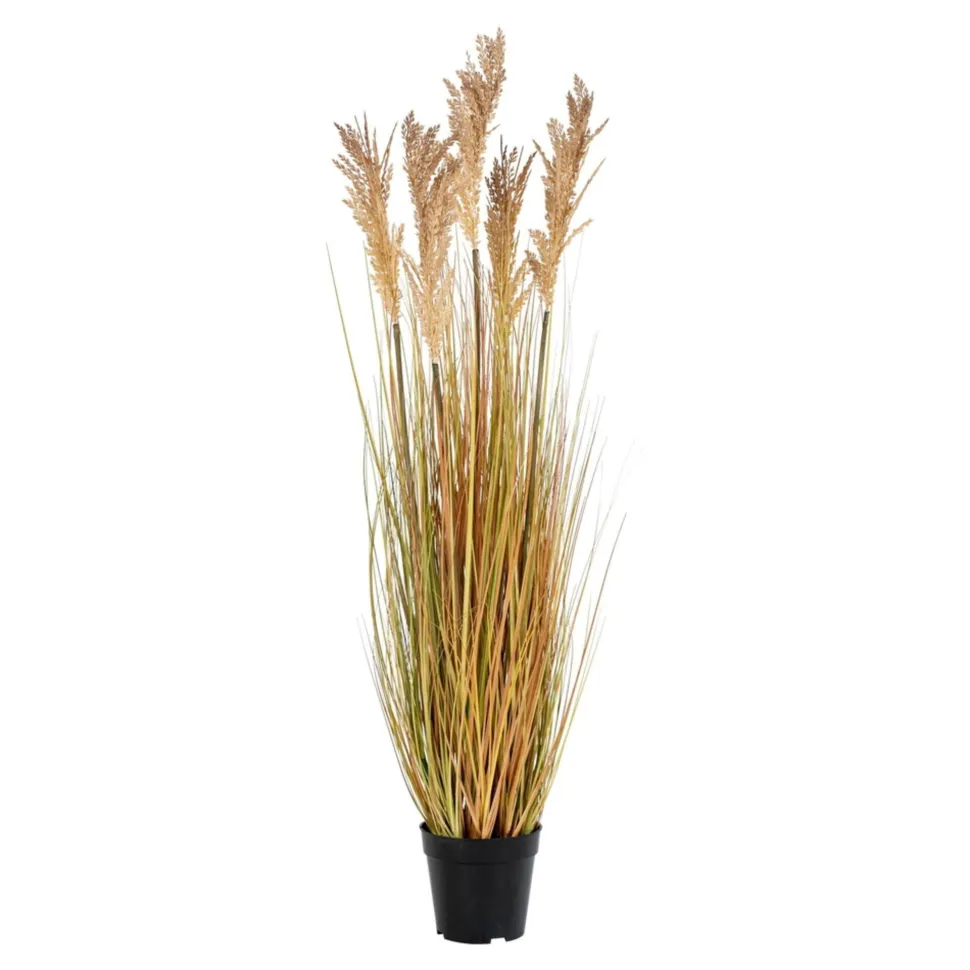 House Nordic Künstliches Sorghum Gras