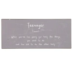 IB Laursen Metallschild Teenager