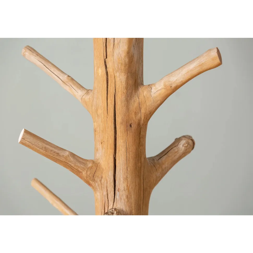 Invicta Garderobenständer Tree Mangostanholz