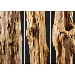 Invicta Skulptur Reef Treibholz Teak