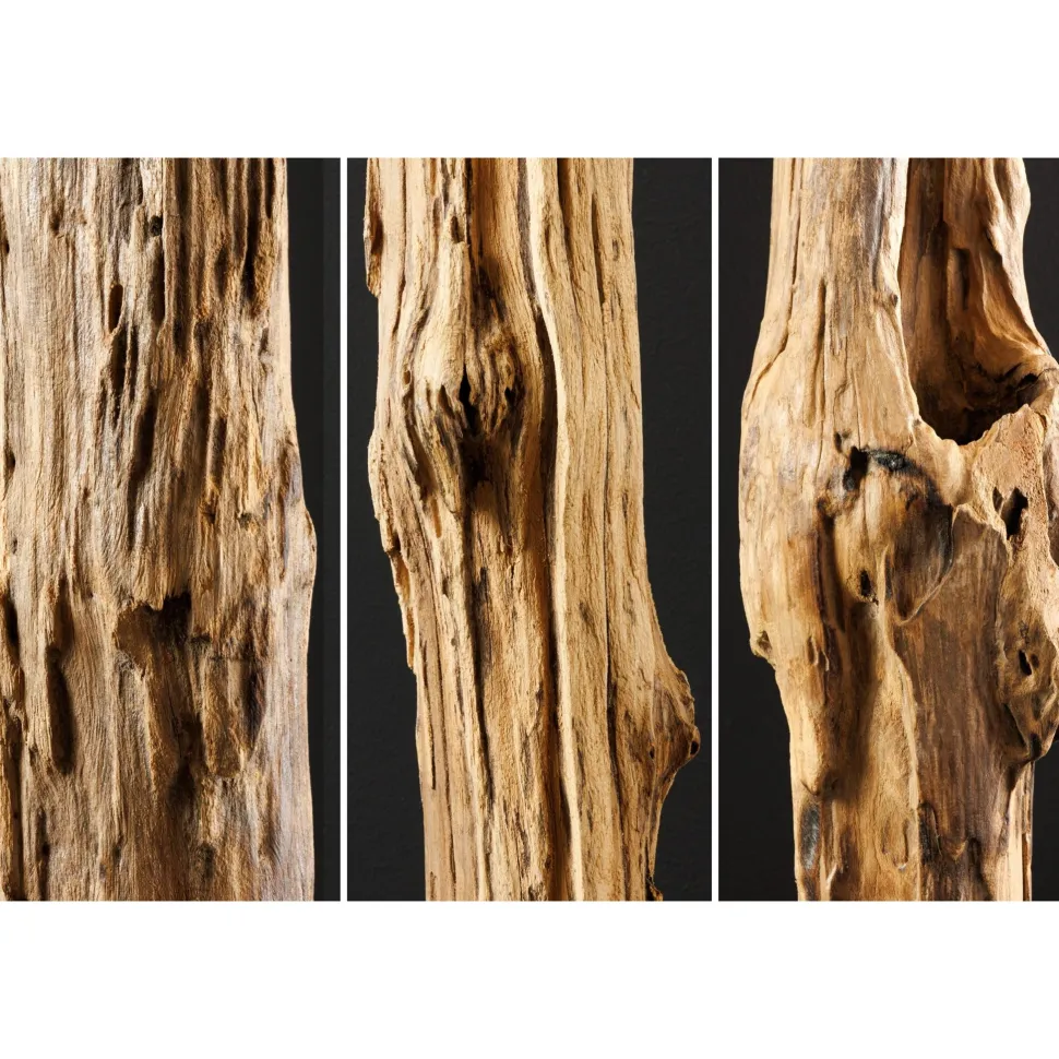 Invicta Skulptur Reef Treibholz Teak